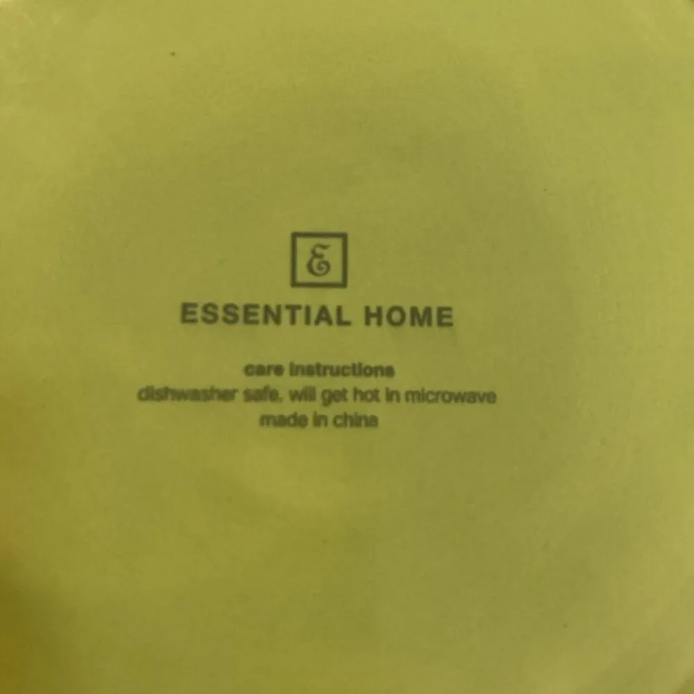 Set of 4 Essential Home Salad Plates In Fiesta Green ~ 8 5/8” Vintage 2005 HTF